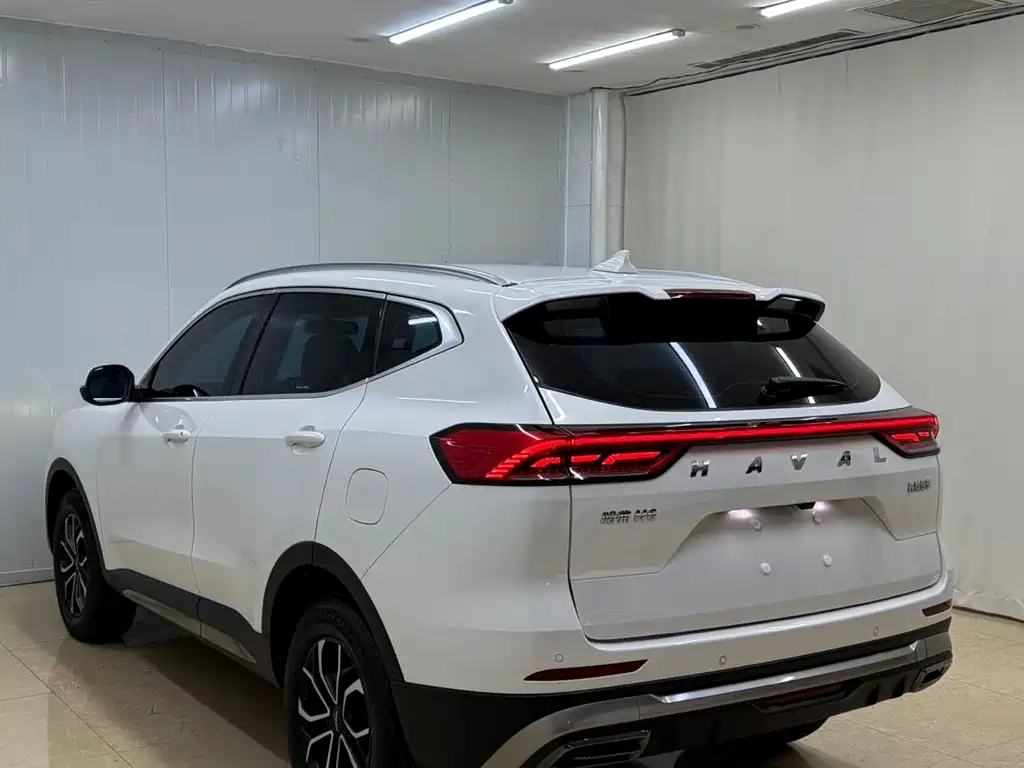 Haval H6 China Style 1.5 T Auto Urban