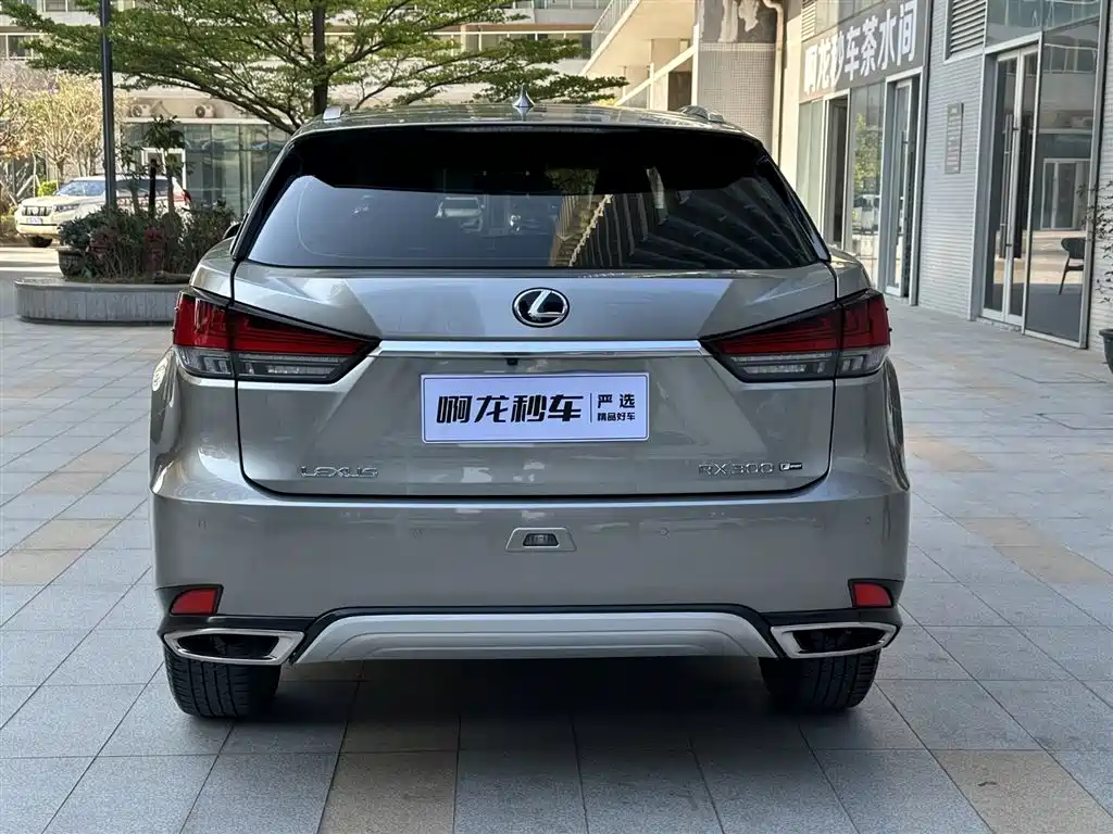 Lexus RX Facelift 300 2 WD Elite