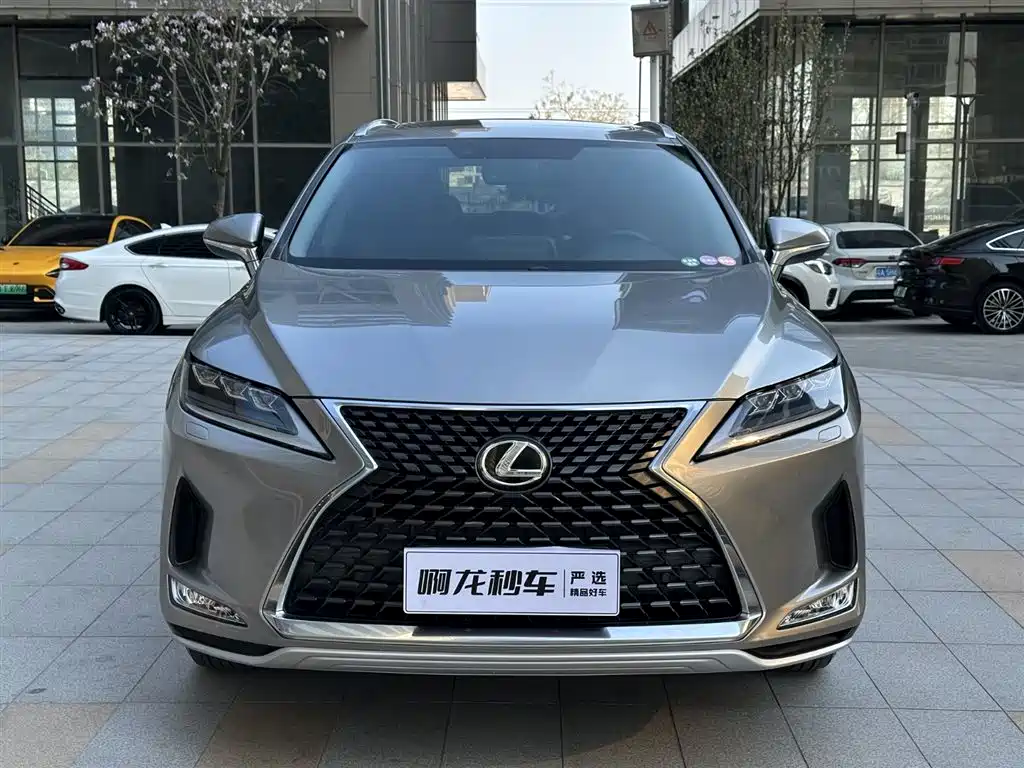 Lexus RX Facelift 300 2 WD Elite