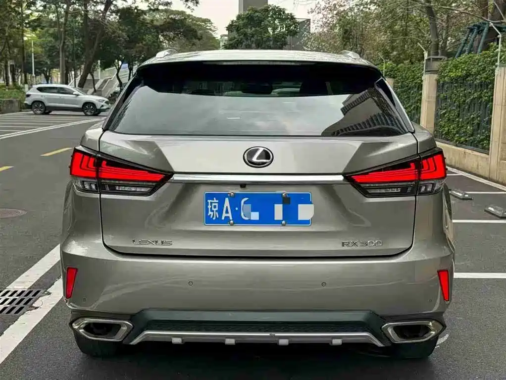 Lexus RX 300 2 WD Comfort CN-V
