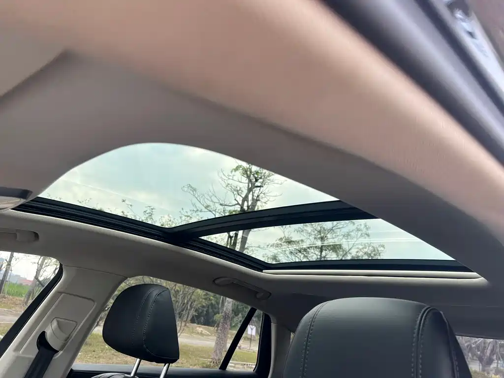 Hongqi H5 2.0 T Auto Connected Flagship