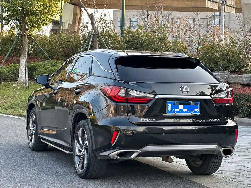 Lexus RX 300 4 WD Elegant CN-V