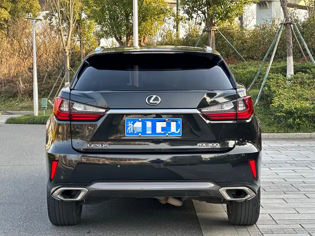 Lexus RX 300 4 WD Elegant CN-V