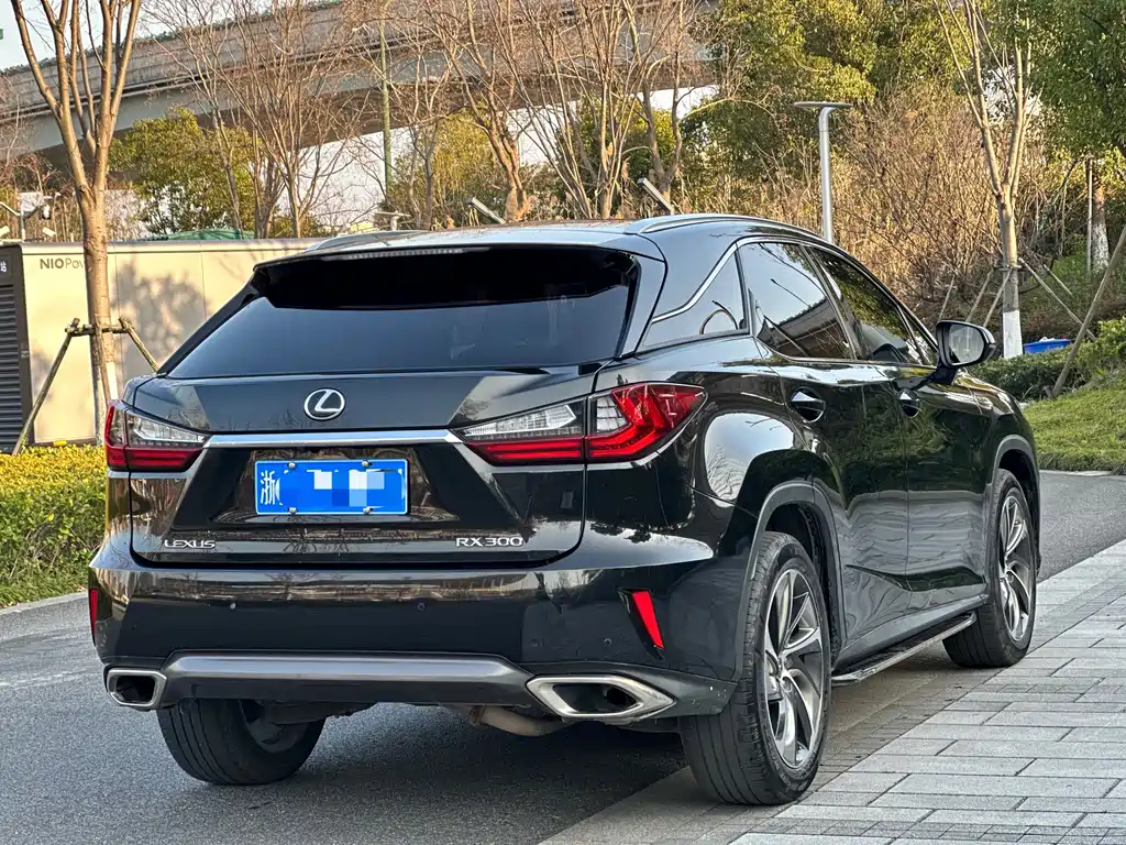 Lexus RX 300 4 WD Elegant CN-V