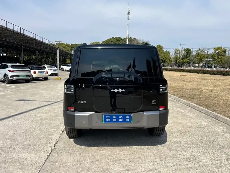 Fangchengbao Tai 7 200 KM 2 WD Max