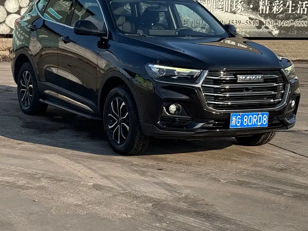 Haval H6 China Style 1.5 T Auto Champion