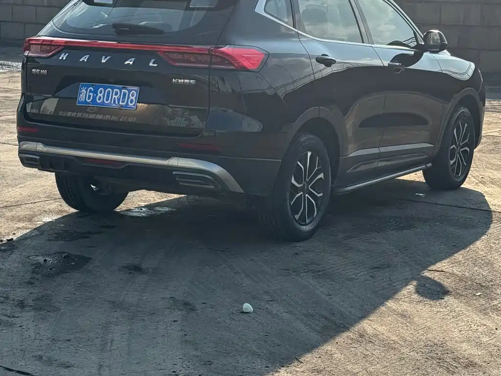 Haval H6 China Style 1.5 T Auto Champion