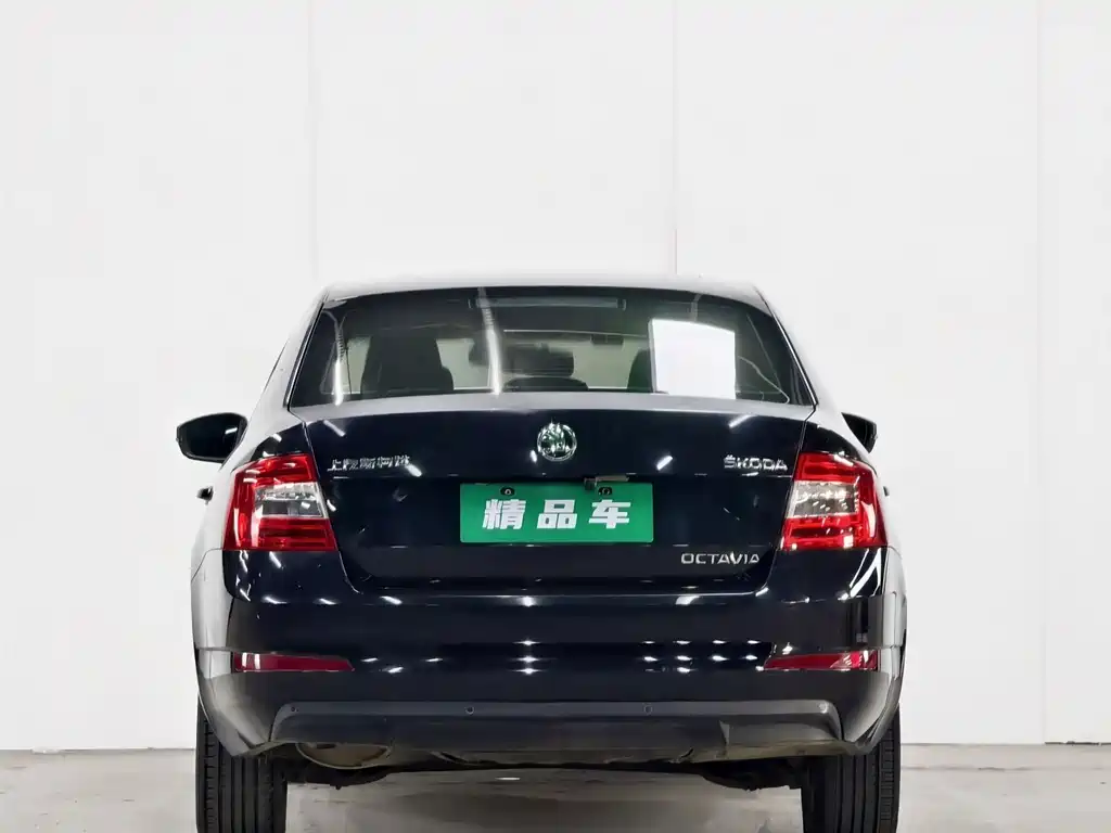 Octavia 1.6 L Auto Creation