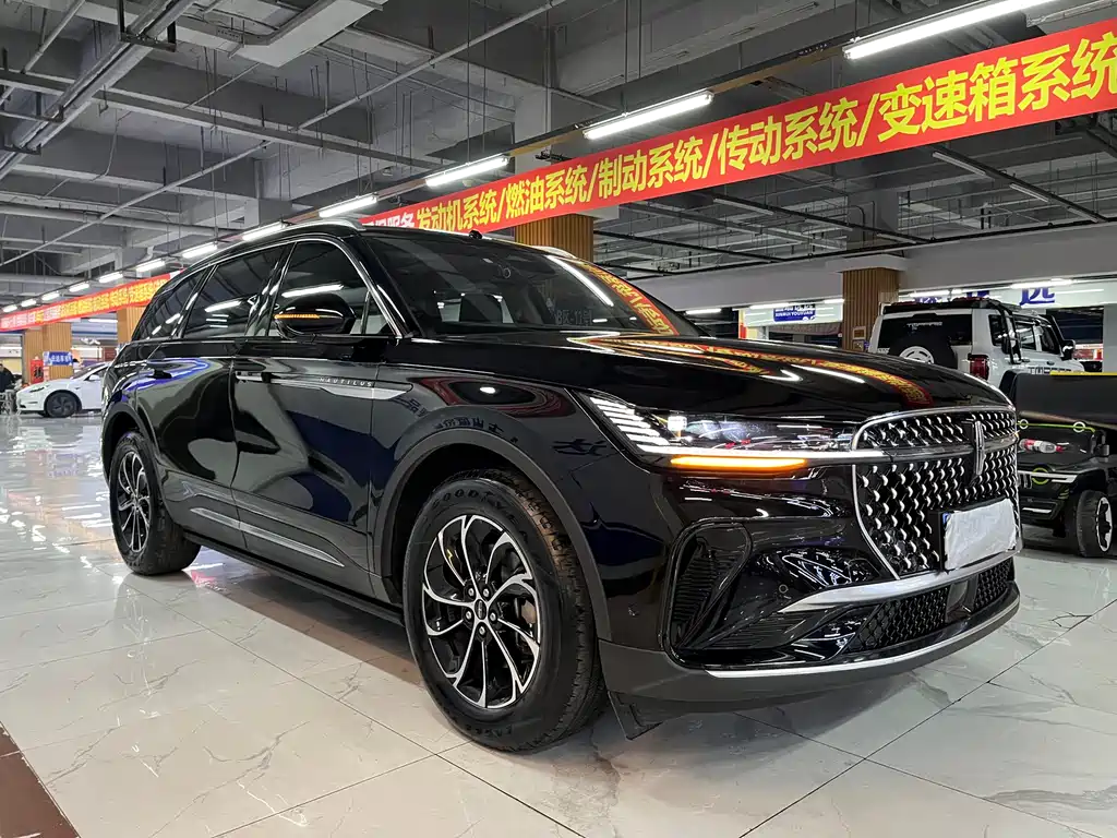 Nautilus 2.0 T 4 WD Premium