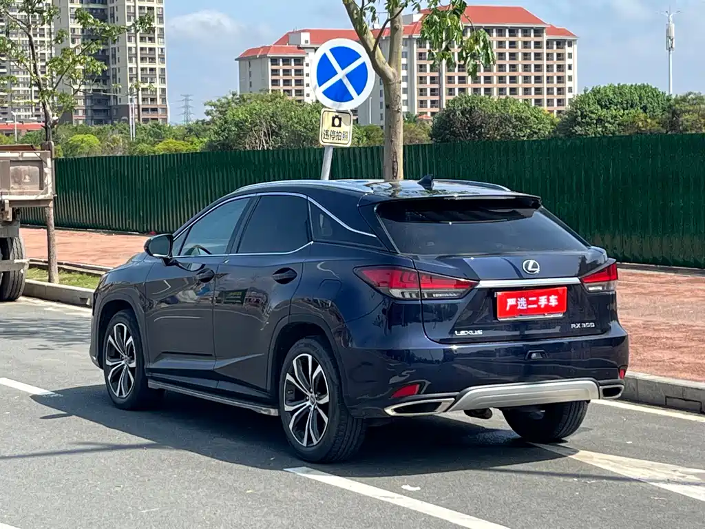 Lexus RX 300 4 WD Elegant CN-VI