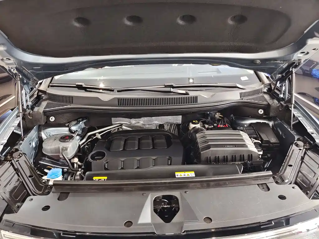 Talagon 450 TSI 4 WD Flagship 6-seat
