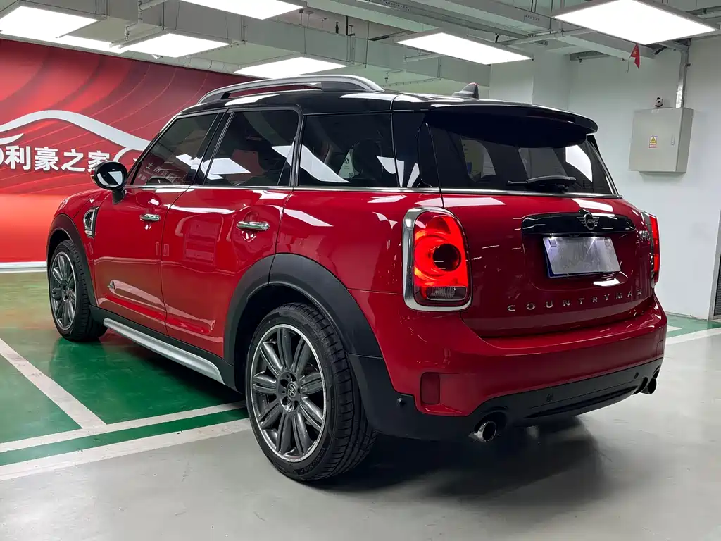 MINI COUNTRYMAN 2.0 T COOPER S ALL4 Artist