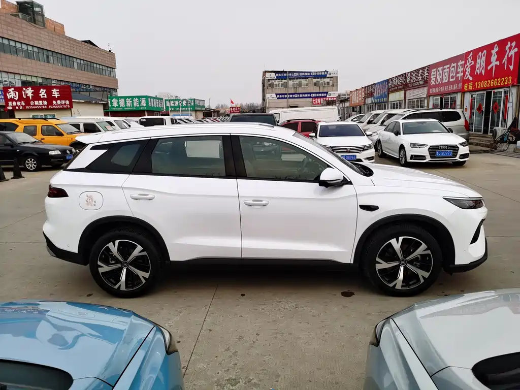 Song Pro NEV 2 nd Gen Smart Drive DM-i 115 KM Outstanding