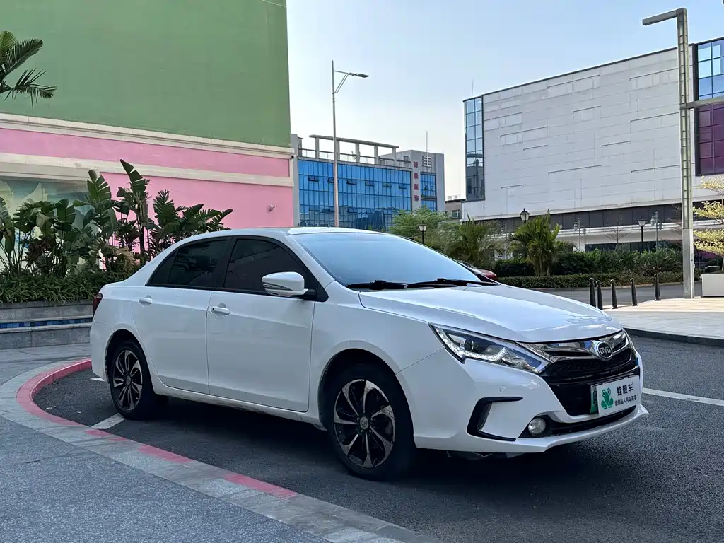 Qin NEV 1.5 T Dual Crown Flagship Plus