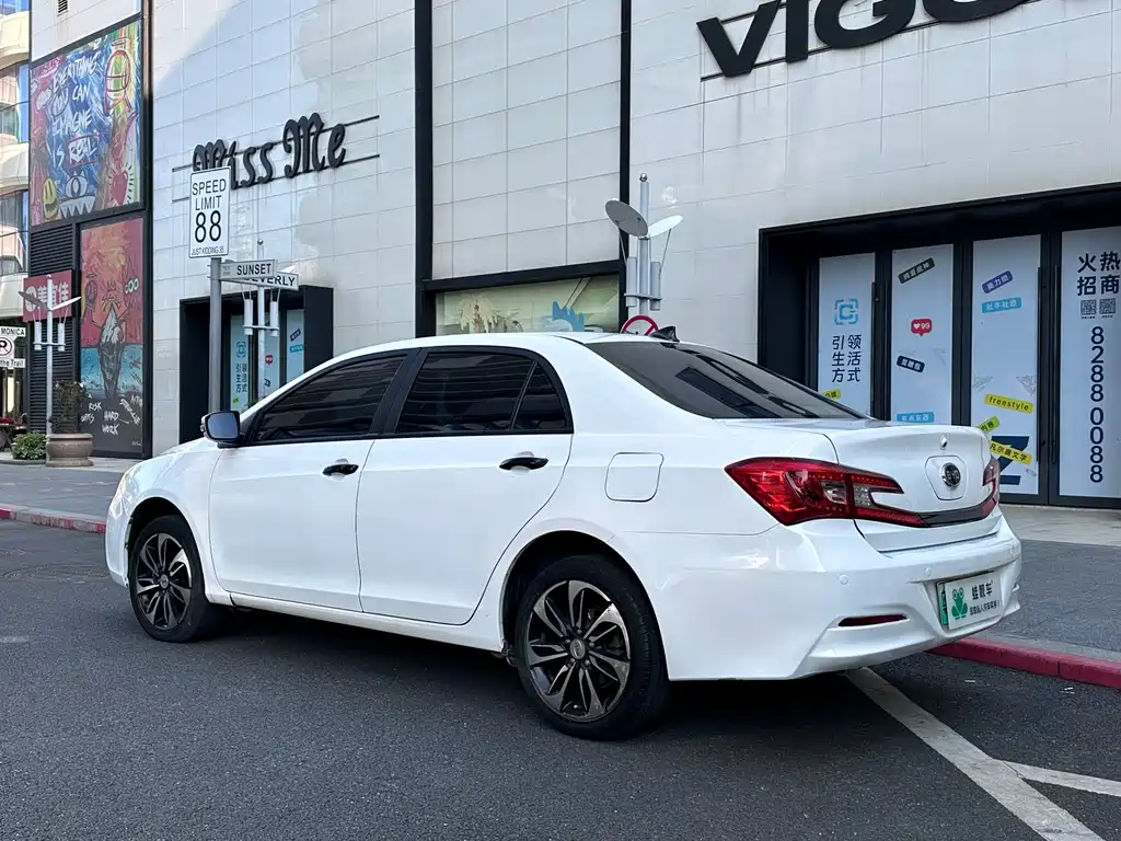 Qin NEV 1.5 T Dual Crown Flagship Plus