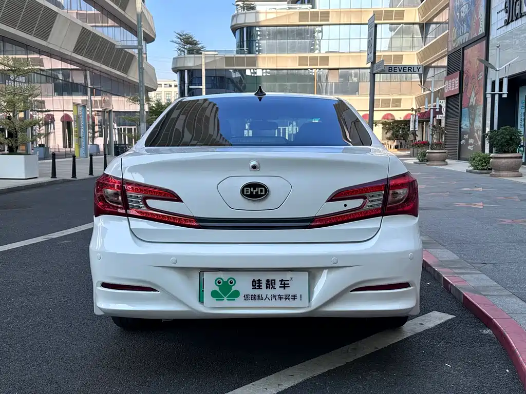 Qin NEV 1.5 T Dual Crown Flagship Plus