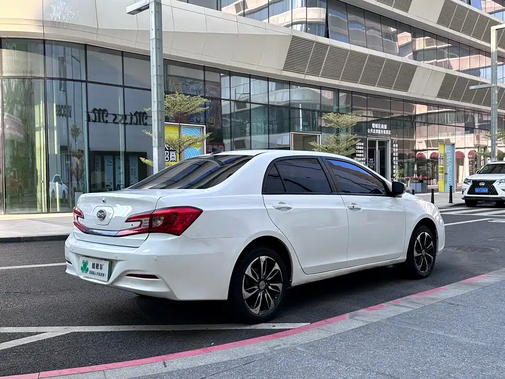 Qin NEV 1.5 T Dual Crown Flagship Plus