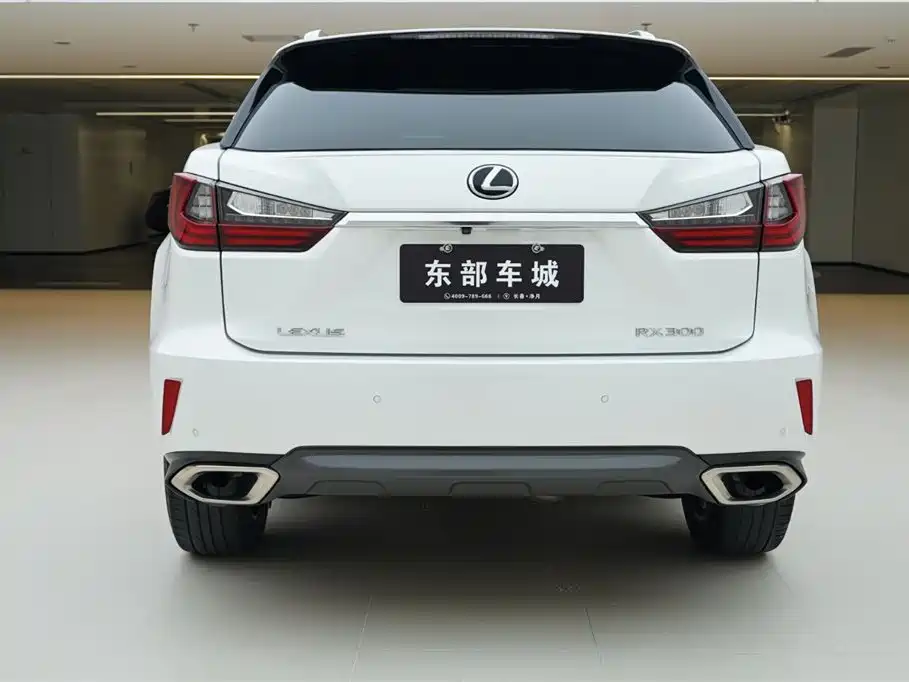 Lexus RX 300 4 WD Elegant CN-V