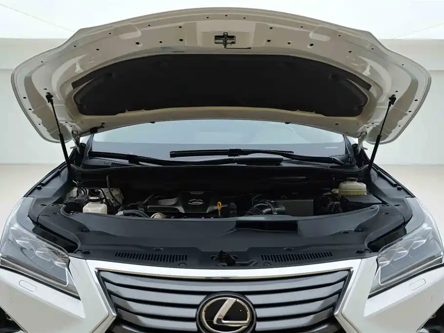 Lexus RX 300 4 WD Elegant CN-V