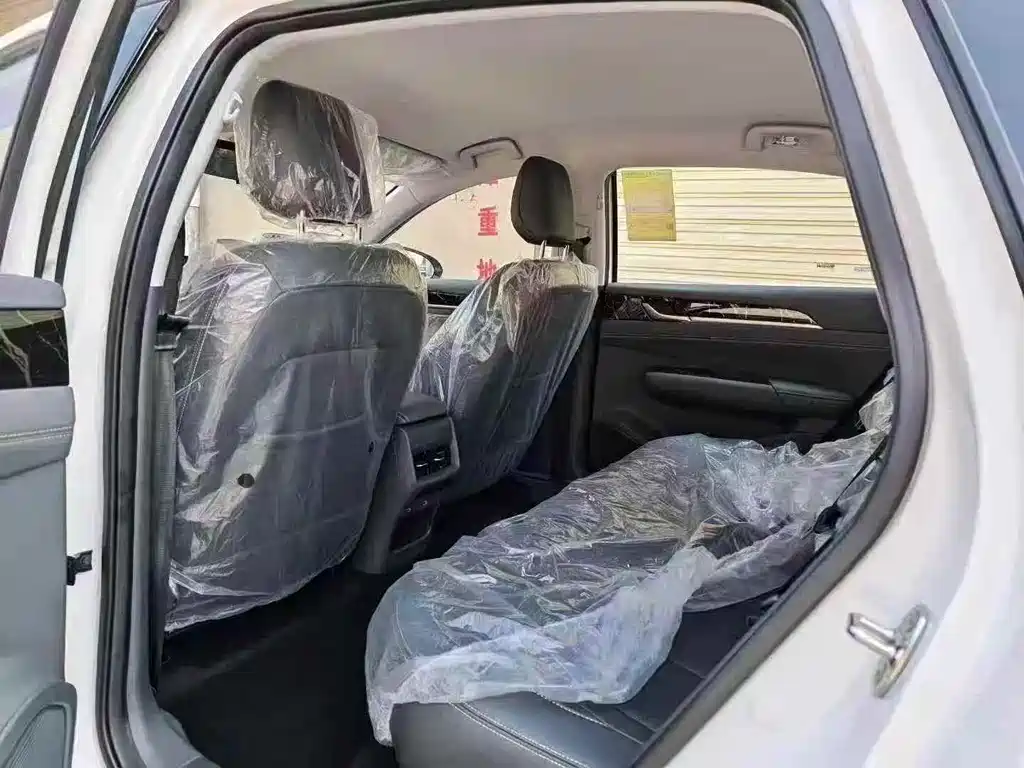 Wuling Starlight 70 km Intelligent Standard