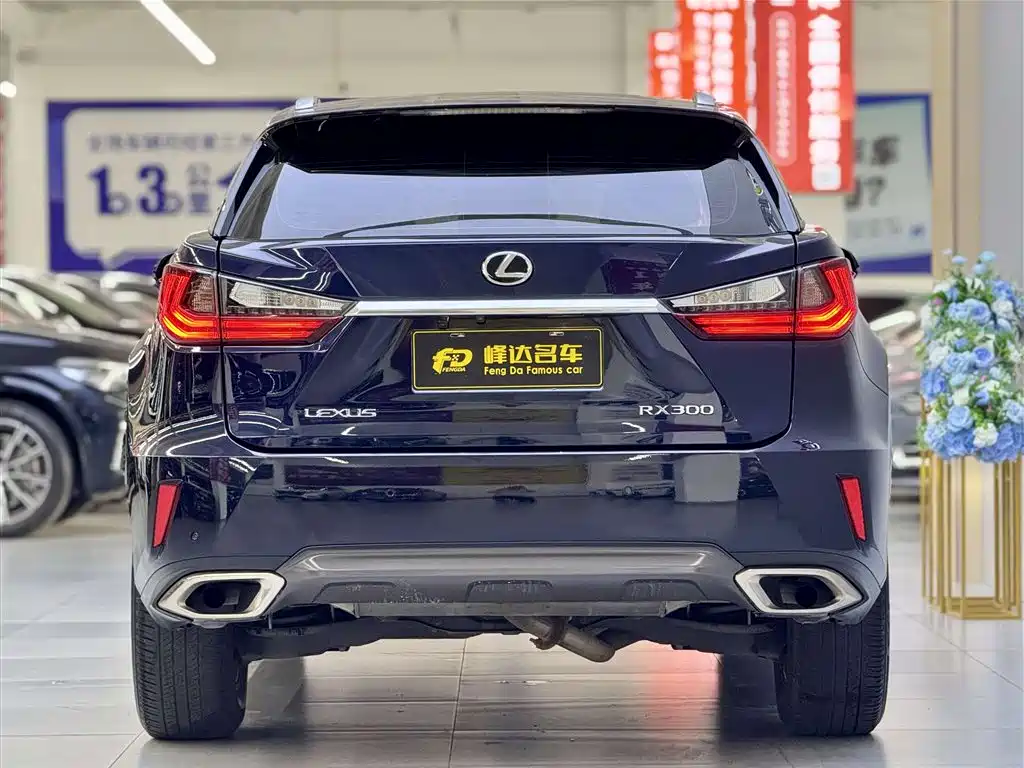 Lexus RX 300 2 WD Elite CN-V