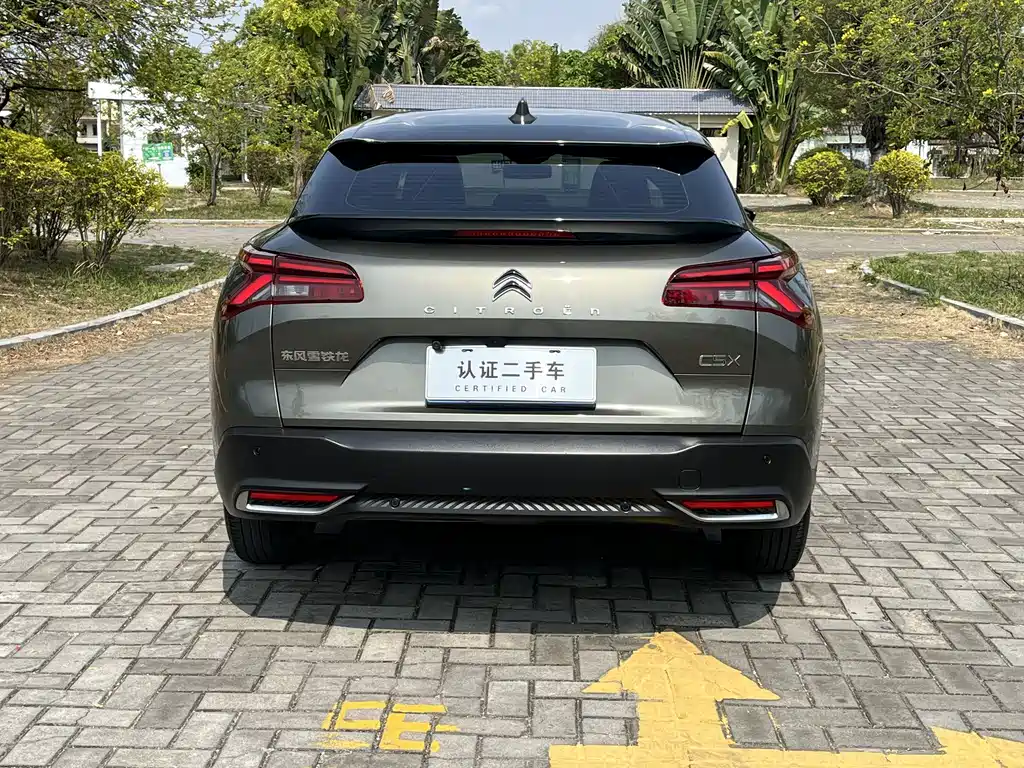 C5 X 1.6 T Extraordinary Enjoyment Tiger Year
