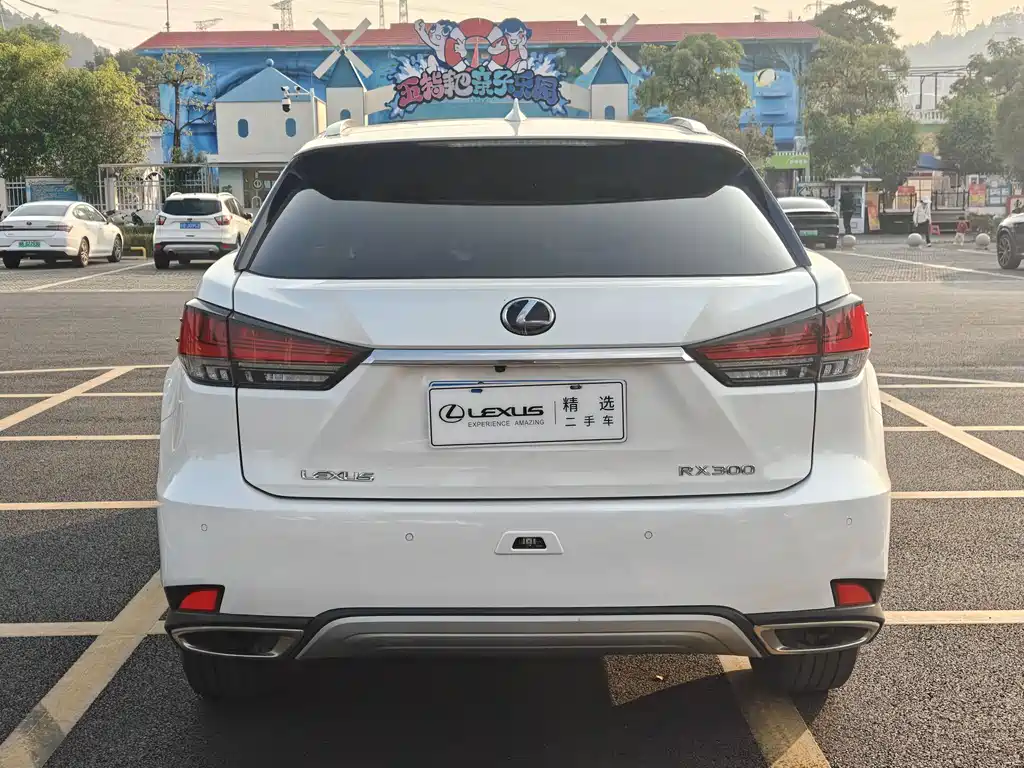 Lexus RX 300 4 WD Elegant CN-VI