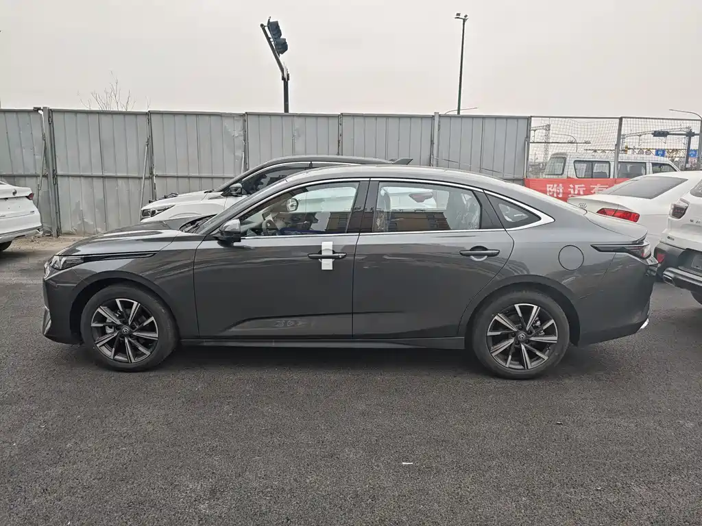 Eado Blue Whale 1.5 T 500 Bar Distinguished