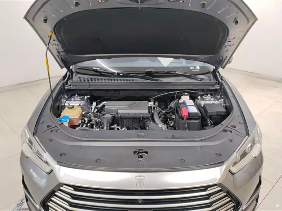 Song Pro 1.5 T Auto Xiaoyun Luxury
