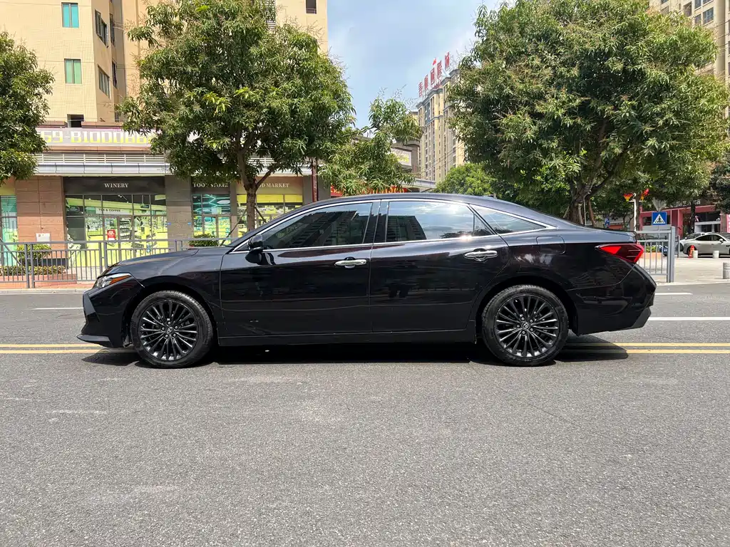 Avalon 2.0 L XLE Premium CN-VI