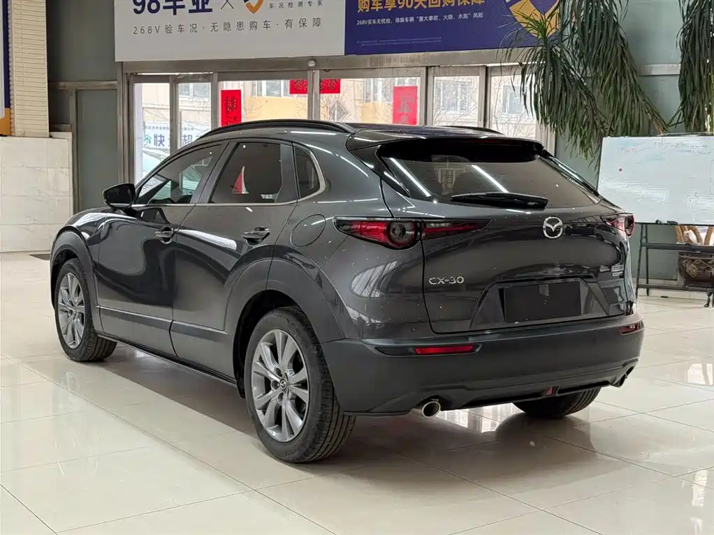 Mazda CX-30 2.0 L Auto Elegant Joy