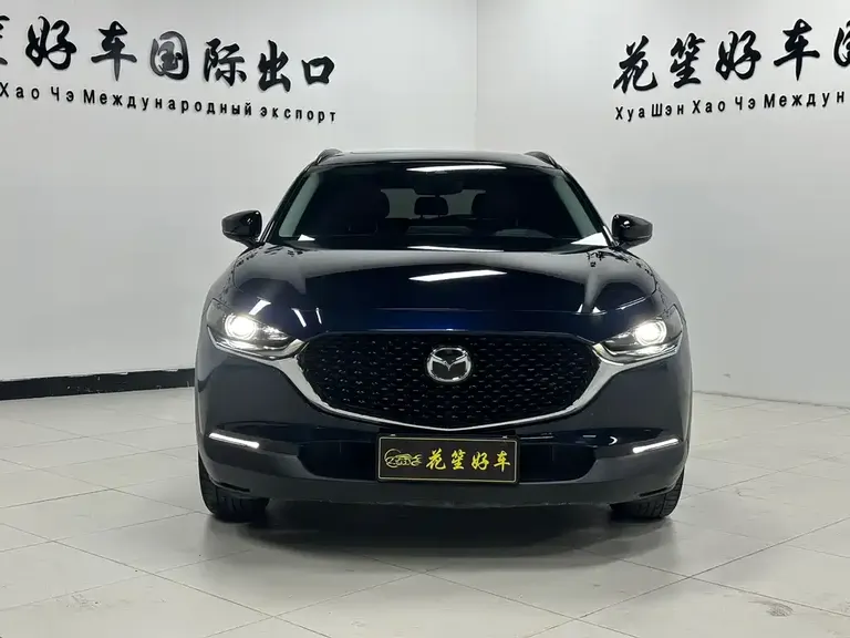 Mazda CX-30 2.0 L Auto Elegant Joy Obsidian