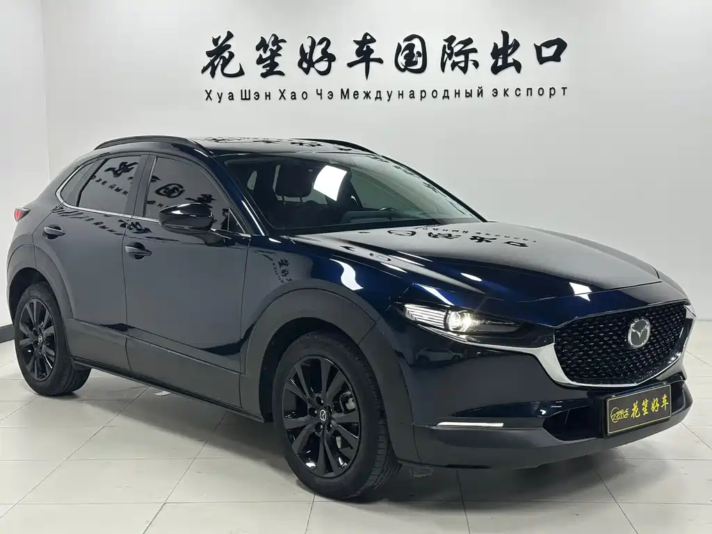 Mazda CX-30 2.0 L Auto Elegant Joy Obsidian