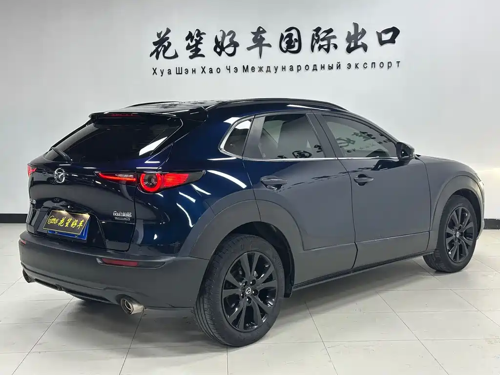 Mazda CX-30 2.0 L Auto Elegant Joy Obsidian