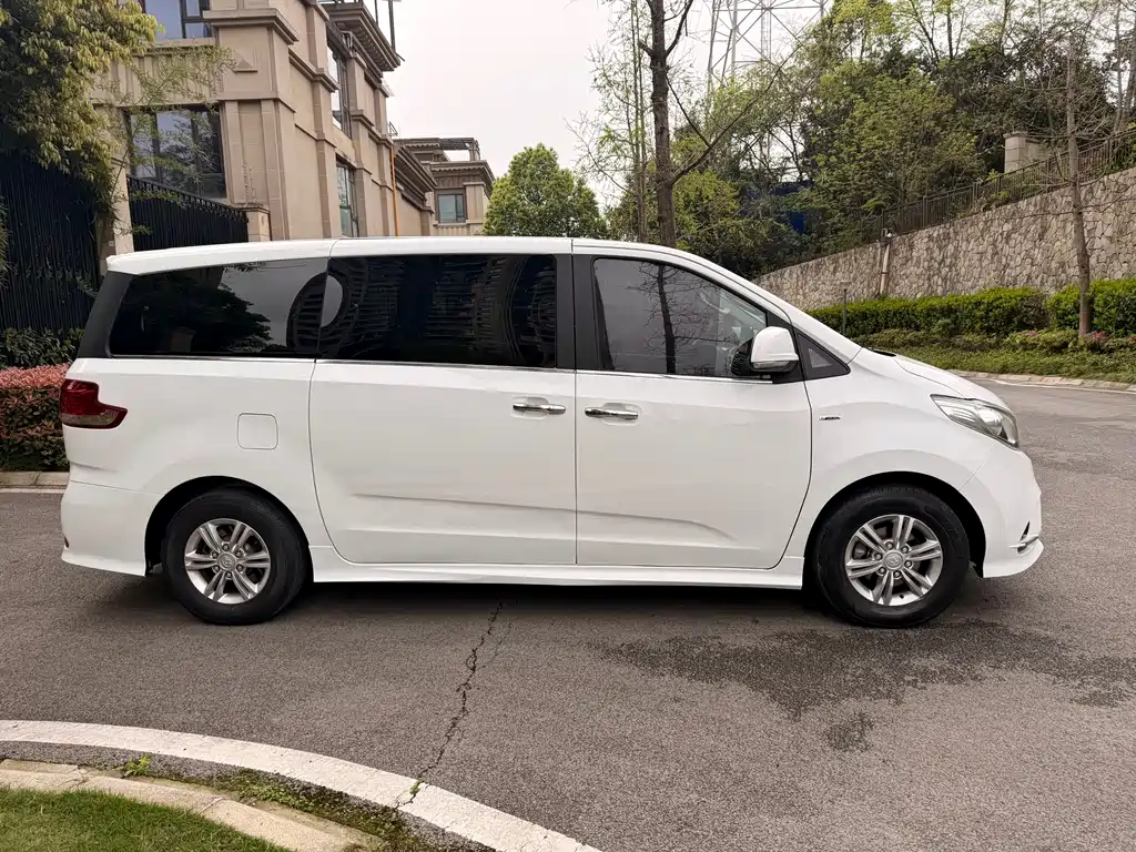 Maxus G10 PLUS 2.0 T Auto Elite CN-VI