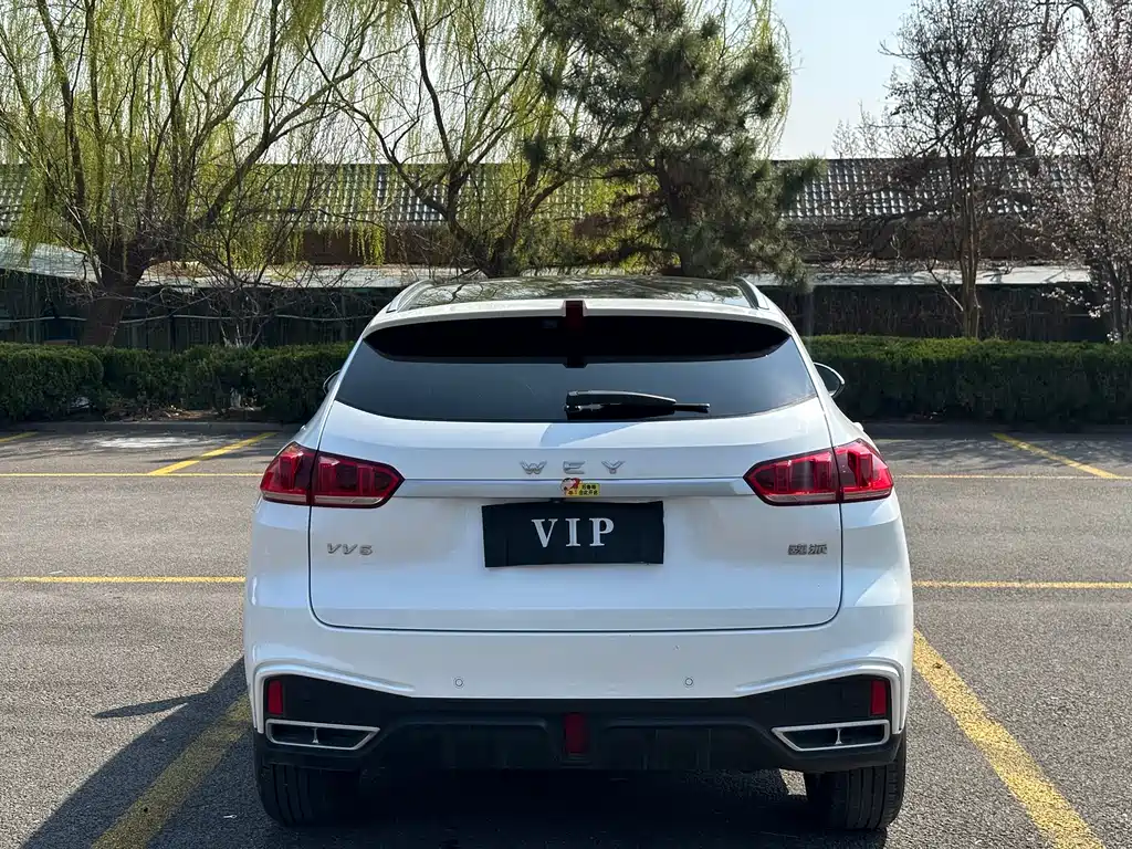 WEY VV5 魏牌 VV5 2021款 1.5 T 两驱潮先锋