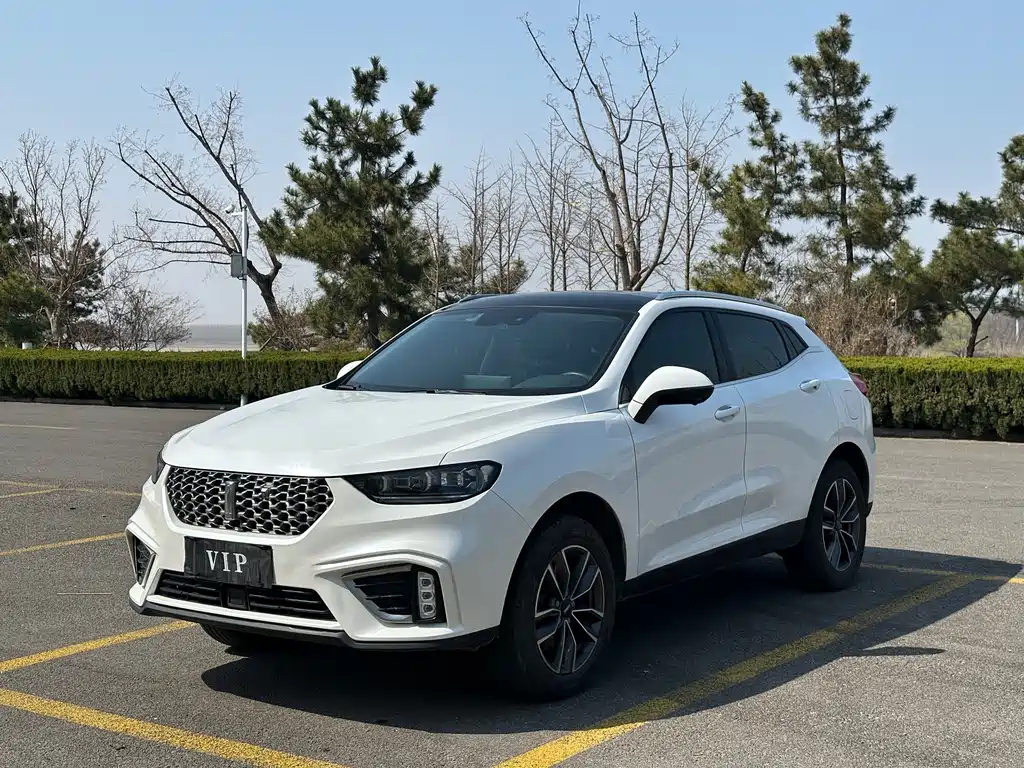 WEY VV5 魏牌 VV5 2021款 1.5 T 两驱潮先锋