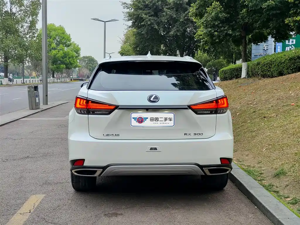 Lexus RX Facelift 300 2 WD Elite
