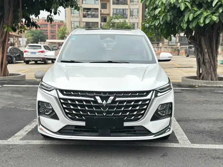 Wuling Victory 2.0 L DHT Luxury Enjoyment
