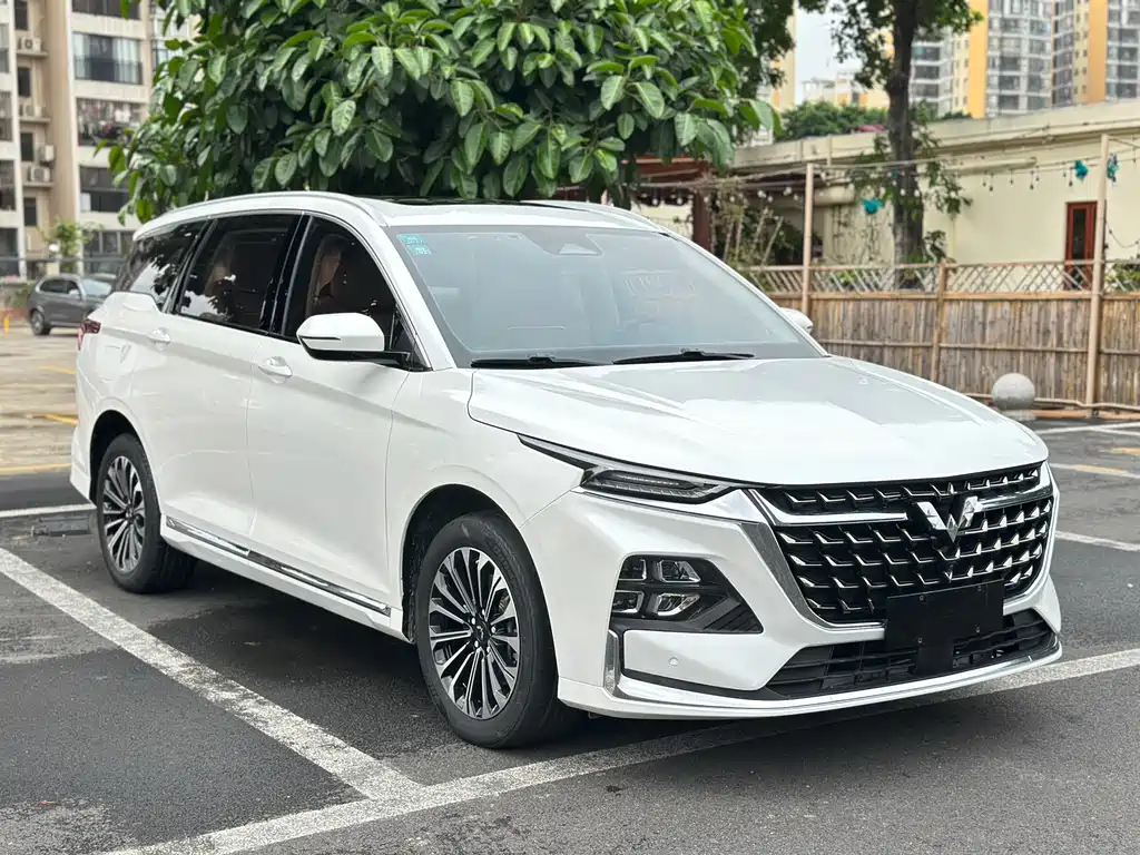 Wuling Victory 2.0 L DHT Luxury Enjoyment