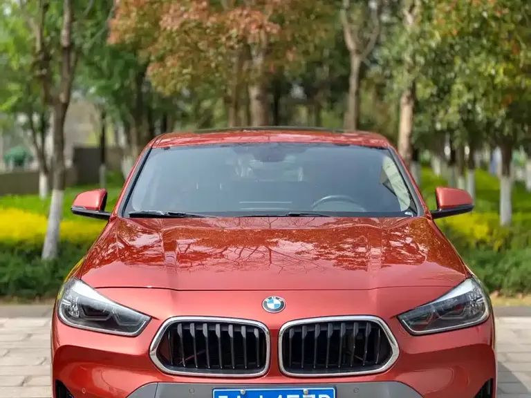 BMW X2 sDrive25 i M Sport Package