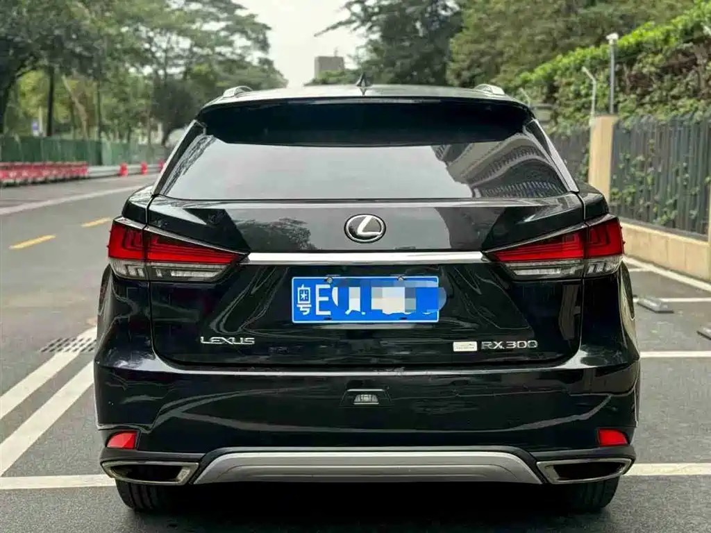 Lexus RX 300 4 WD F SPORT CN-VI