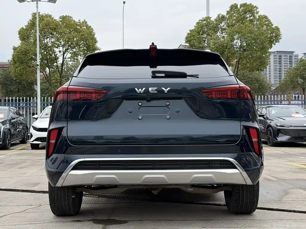 WEY Mocha 2.0 T 2 WD Espresso