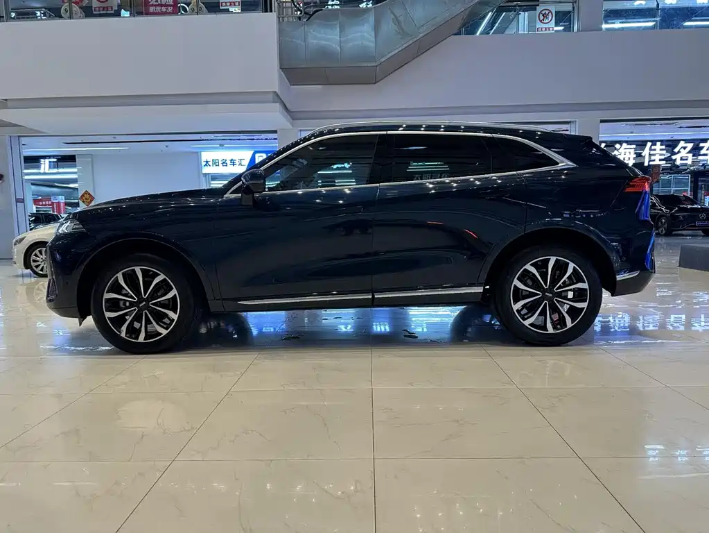 WEY Mocha 2.0 T 2 WD Pure