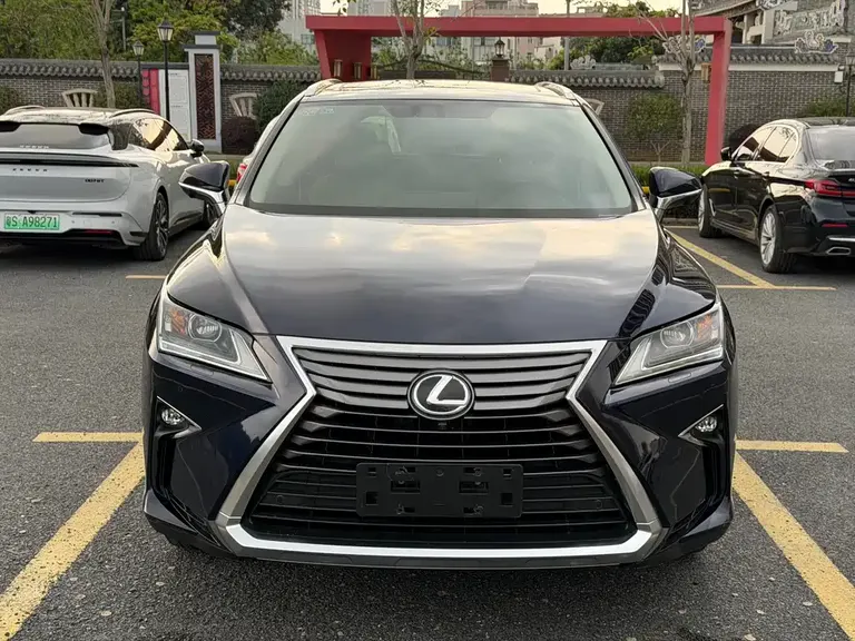 Lexus RX 雷克萨斯RX 2016款 300 两驱精英版 国VI