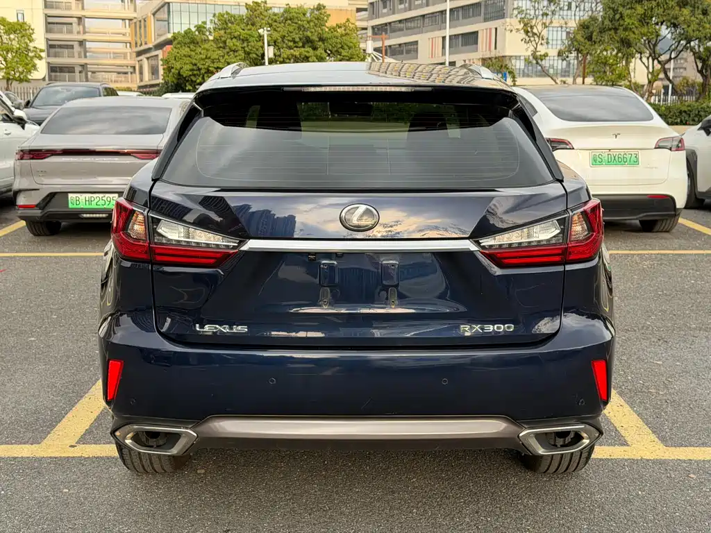 Lexus RX 雷克萨斯RX 2016款 300 两驱精英版 国VI
