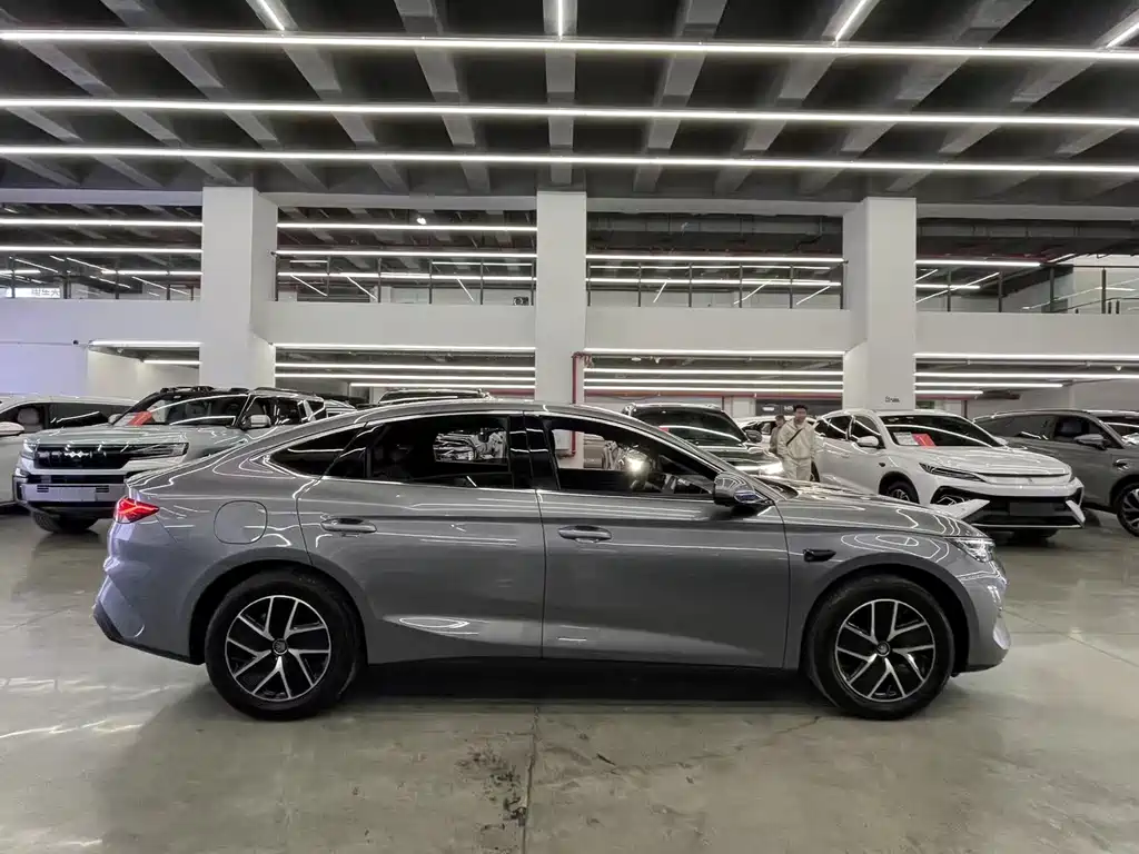 Qin L DM-i Smart Drive 120 KM Transcend