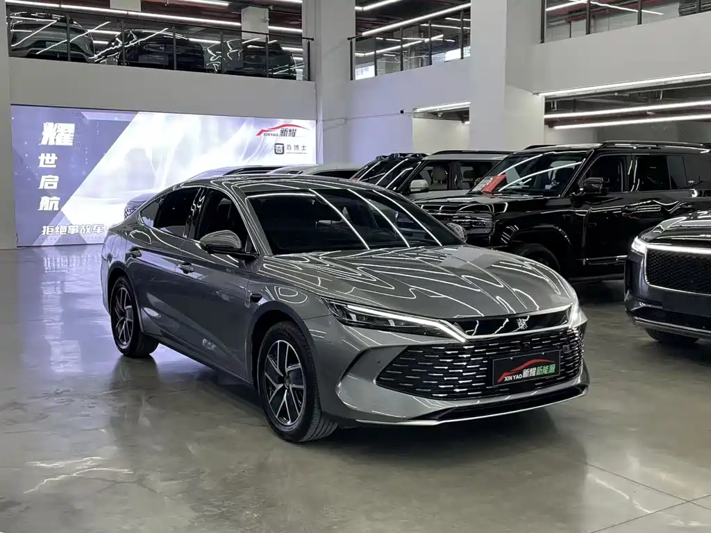 Qin L DM-i Smart Drive 120 KM Transcend
