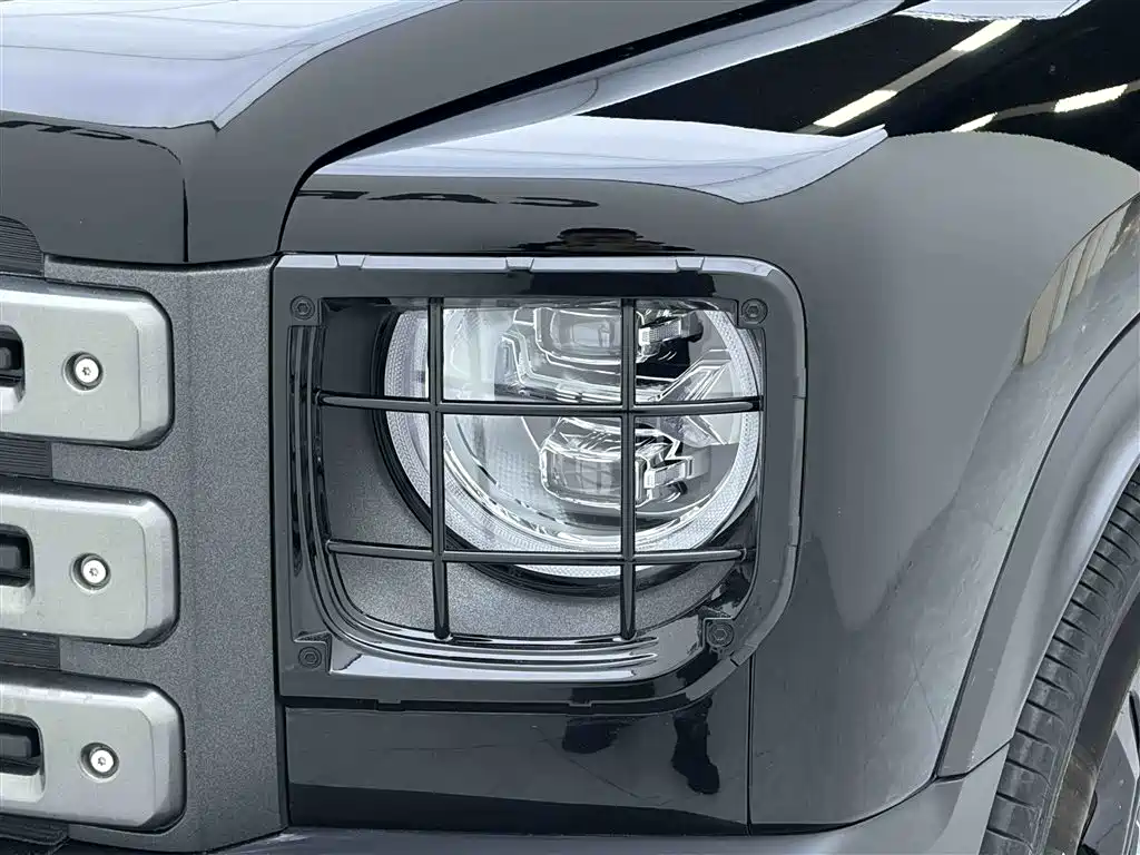 Haval Menglong NEV Hi4 145 Cross