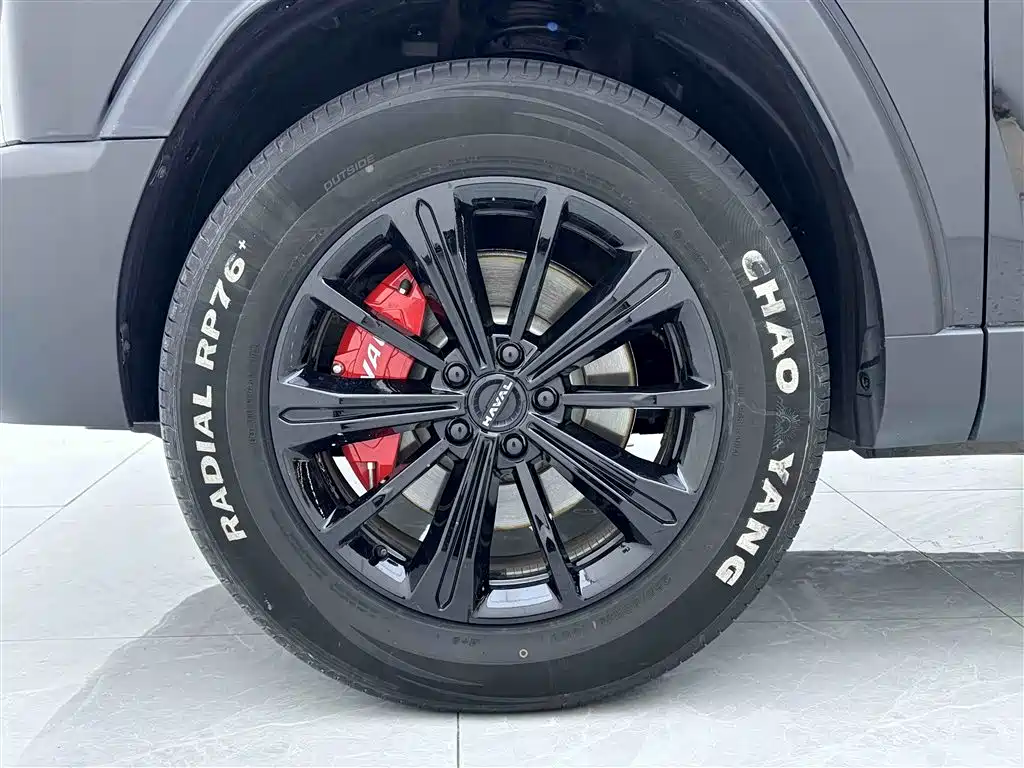 Haval Menglong NEV Hi4 145 Cross